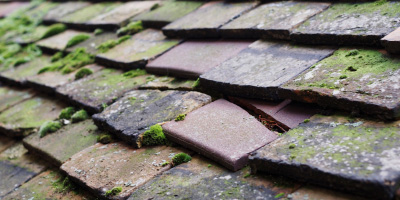 Charvil roof repair costs